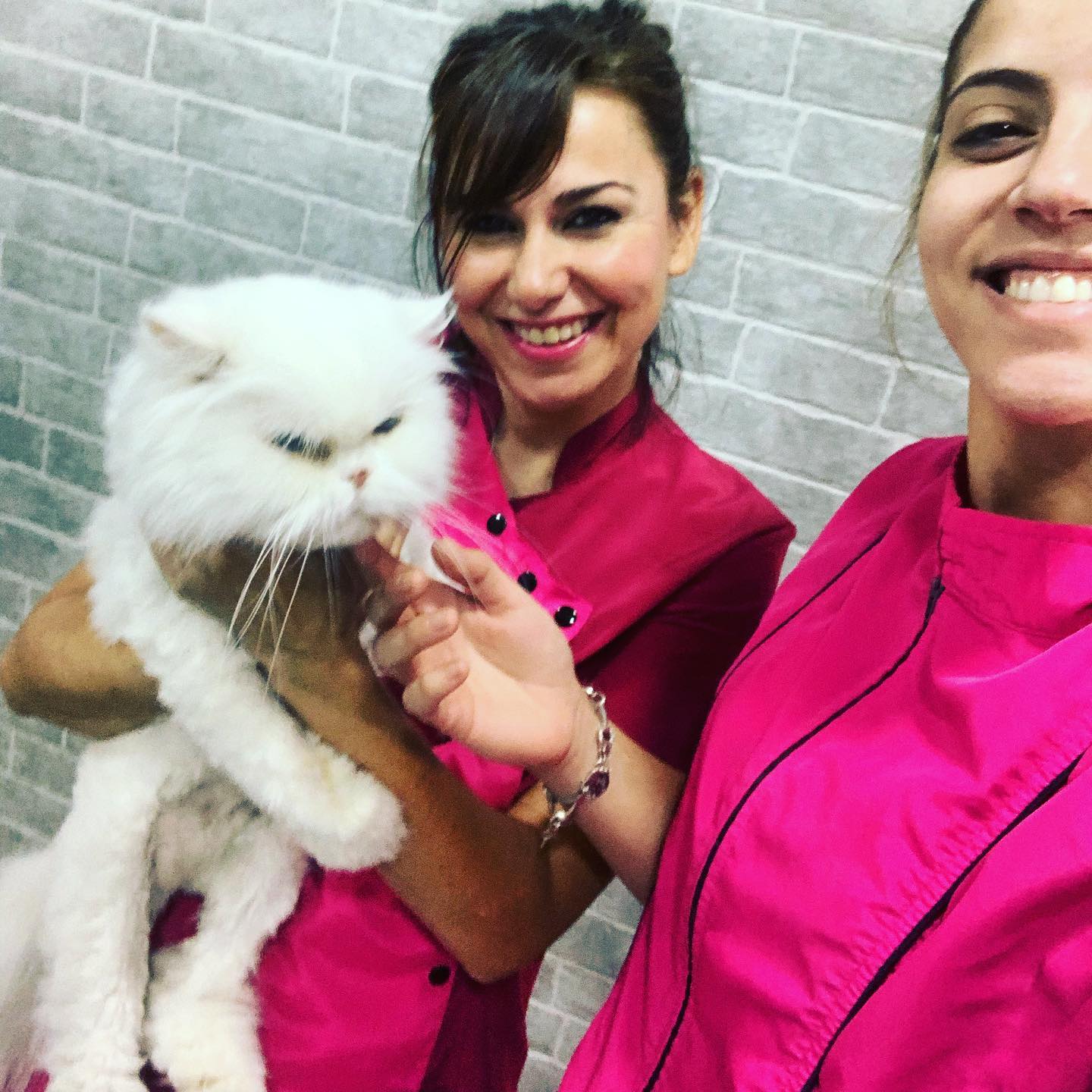 pelueuqeria 7